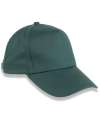 RC096X Result Organic Cotton 5 Panel Cap Bottle Green colour image